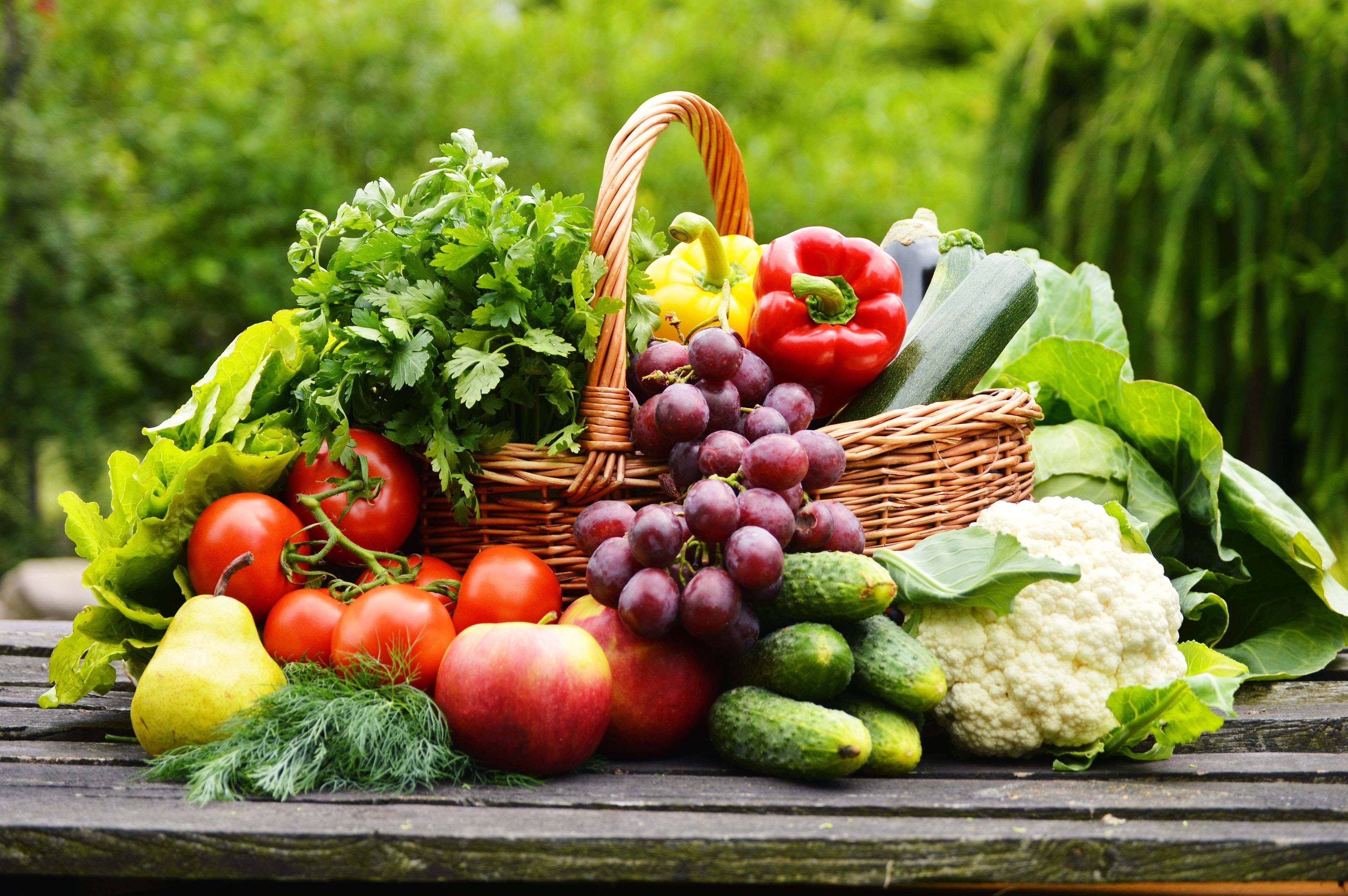 Урожай фруктов. Корзина с овощами и фруктами. Урожай овощей. Летние овощи. Овощи летом.