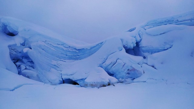 Льодовик острова Вінтер (фото Анни Соіної)